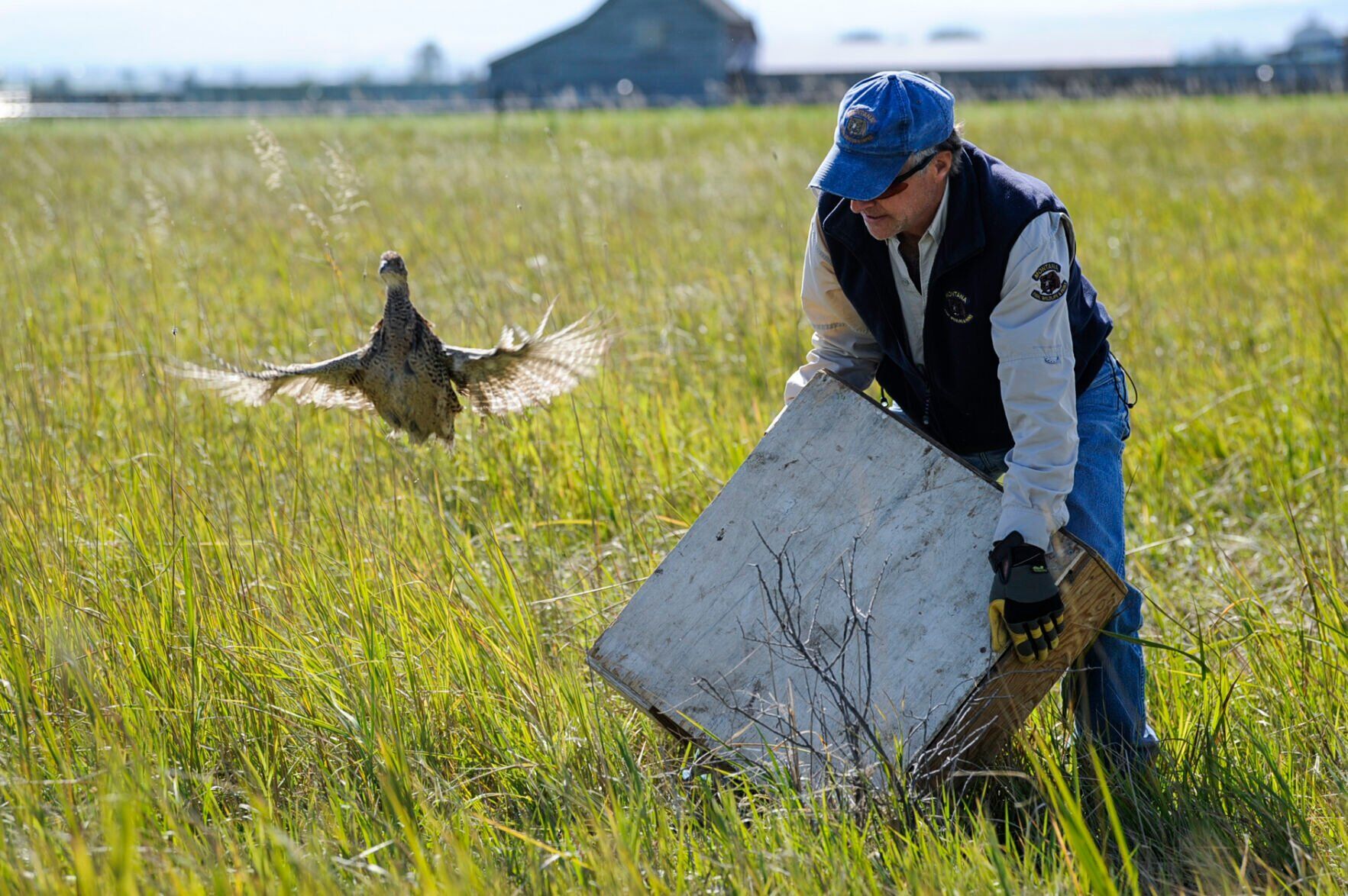 Montana Fish, Wildlife and Parks biologist Adam Grove